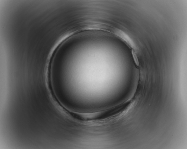 X0000092221138200709141039
