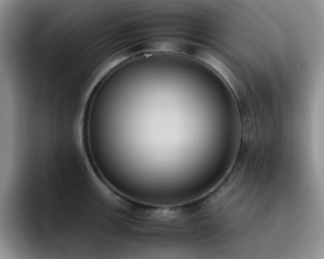 X0000092221139200709141039
