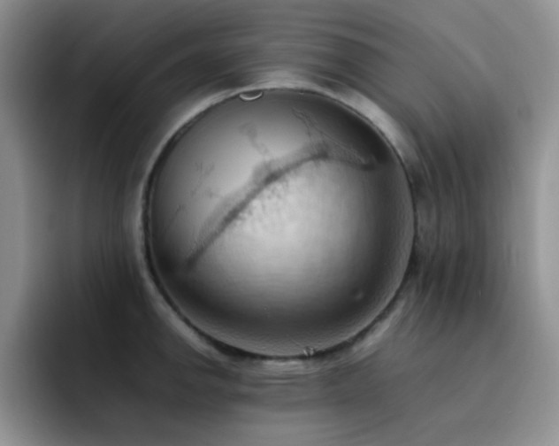 X0000092221142200709141039