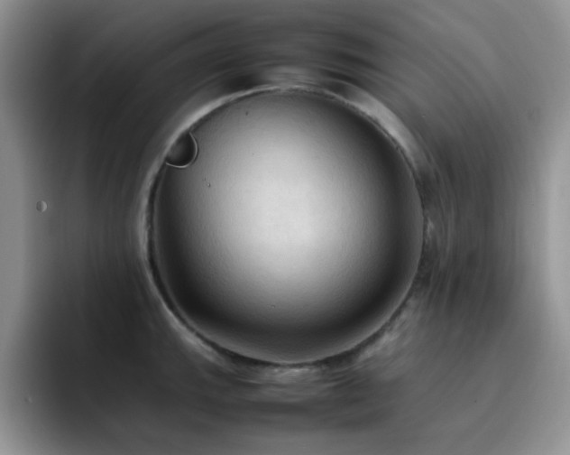 X0000092221143200709141039