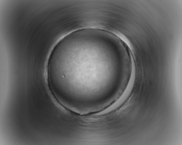 X0000092221144200709141039