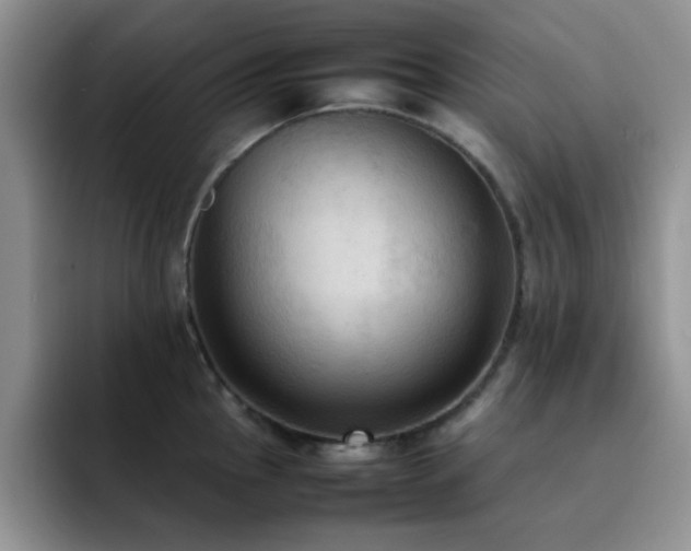 X0000092221145200709141039
