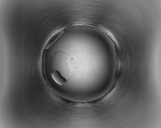 X0000092221146200709141039