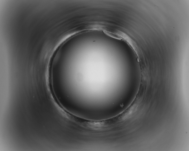 X0000092221147200709141039