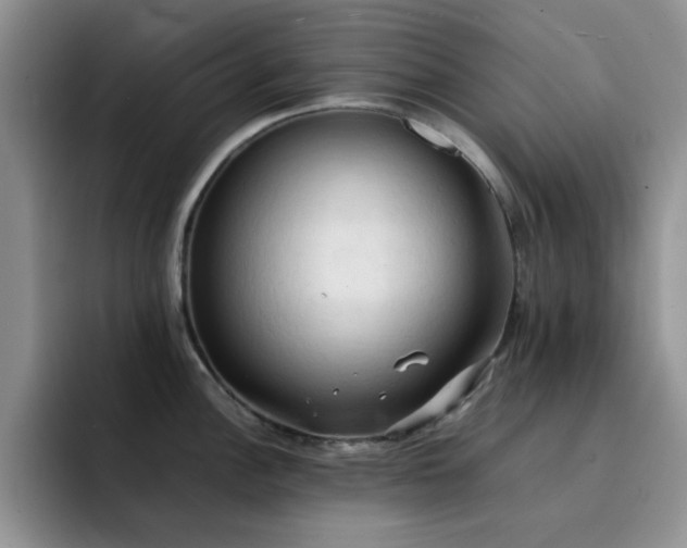 X0000092221148200709141039