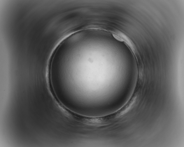 X0000092221149200709141039