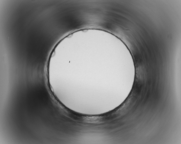 X0000092221150200709141039
