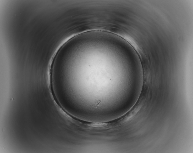 X0000092221151200709141039