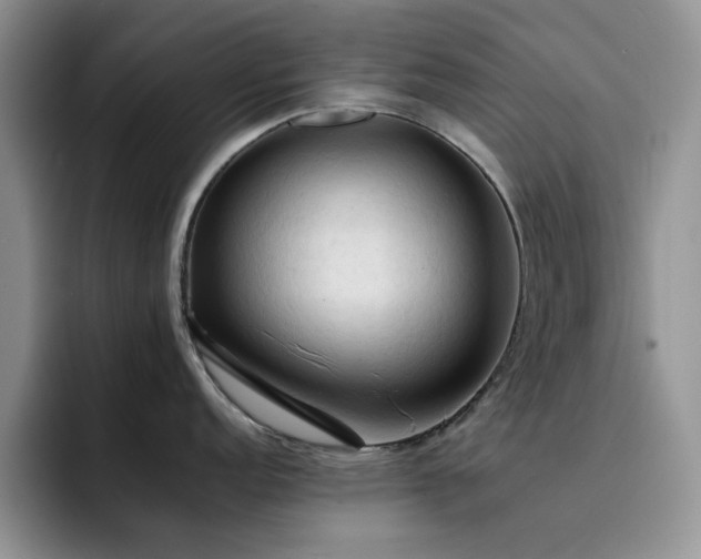 X0000092221152200709141039