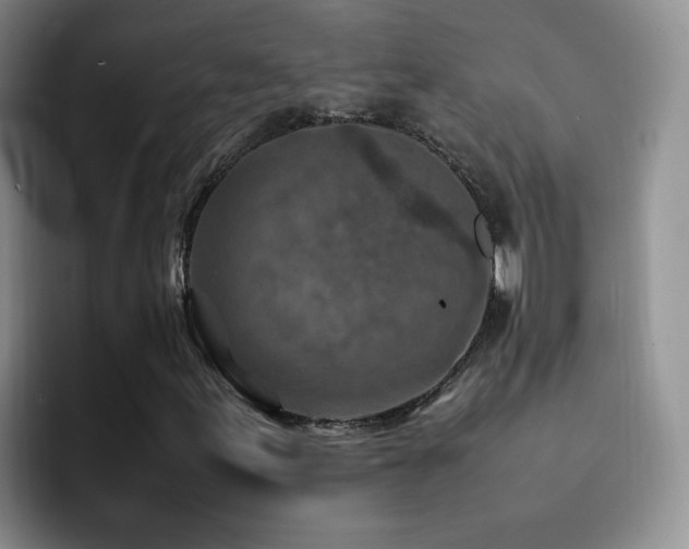 X0000092221155200709141039