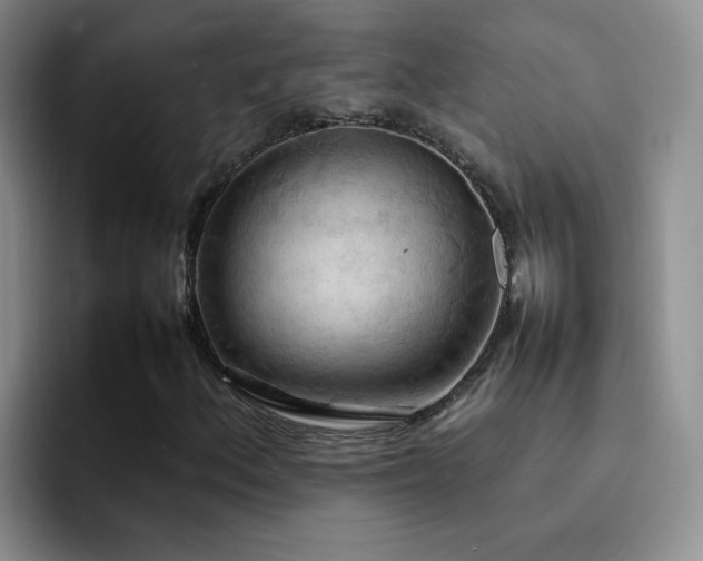 X0000092221156200709141039