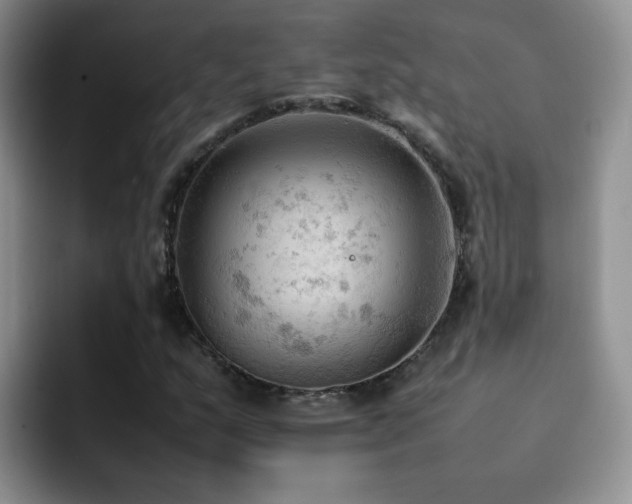 X0000092221159200709141039