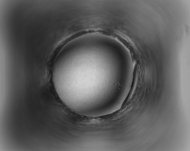 X0000092221160200709141039