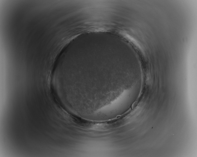 X0000092221161200709141039