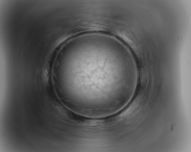 X0000092221163200709141039