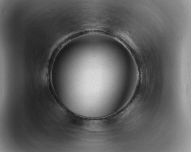 X0000092221164200709141039