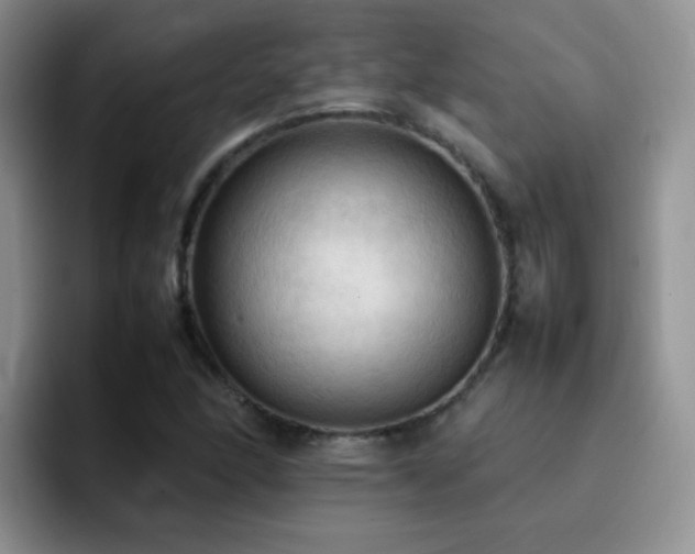 X0000092221166200709141039
