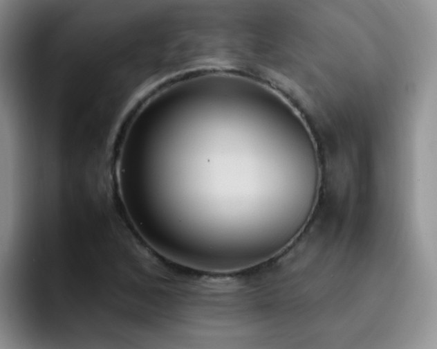 X0000092221168200709141039