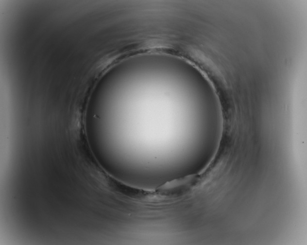 X0000092221169200709141039