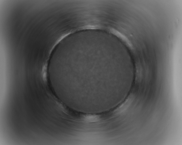 X0000092221170200709141039