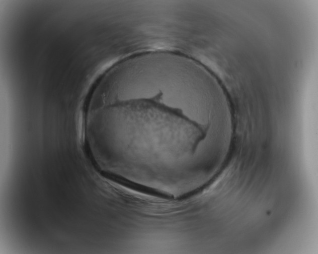 X0000092221171200709141039