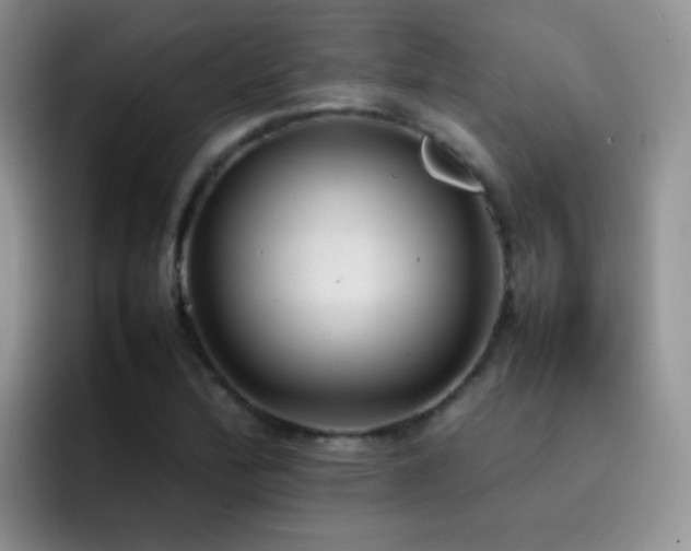 X0000092221172200709141039