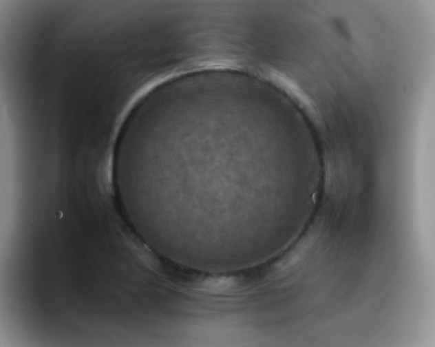 X0000092221174200709141039