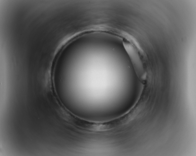X0000092221176200709141039