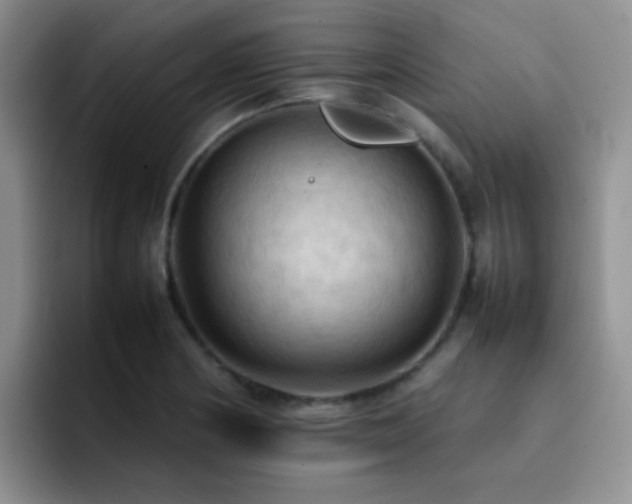 X0000092221178200709141039
