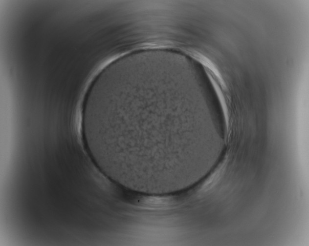 X0000092221179200709141039