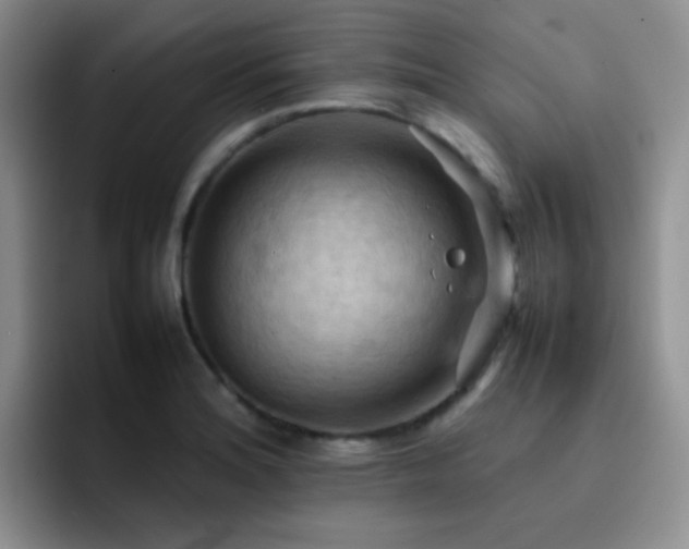 X0000092221180200709141039