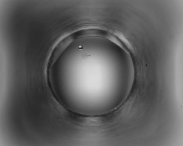 X0000092221181200709141039