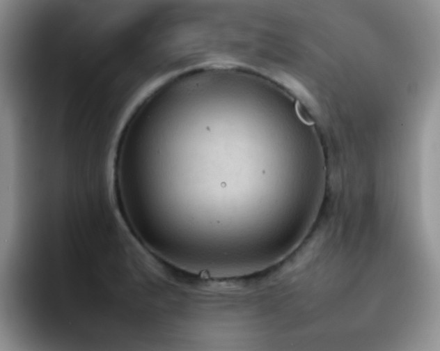X0000092221183200709141039