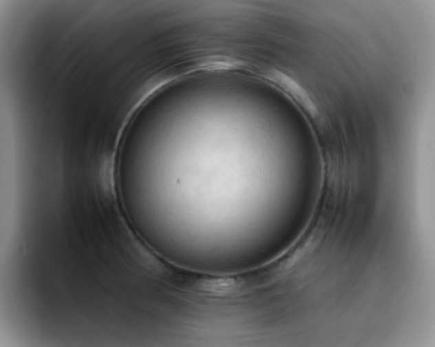 X0000092221186200709141039