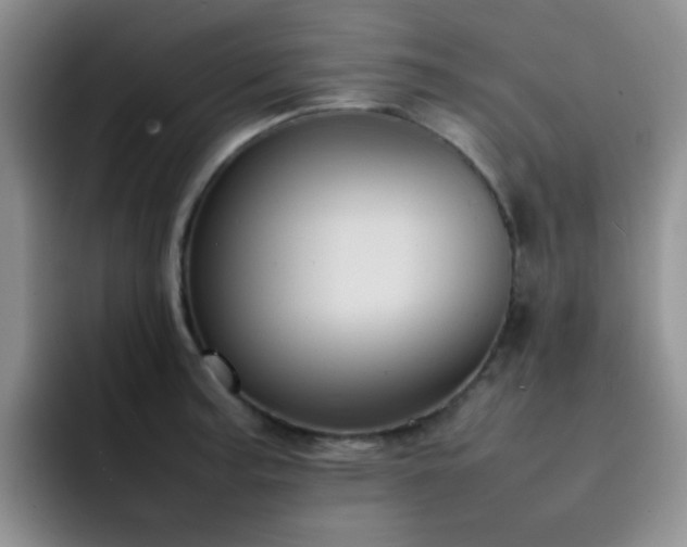 X0000092221187200709141039