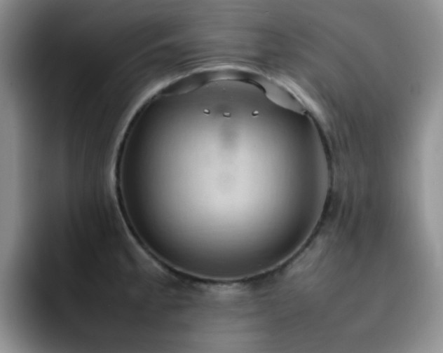 X0000092221189200709141038