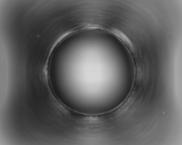 X0000092221190200709141038