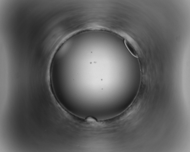X0000092221191200709141038