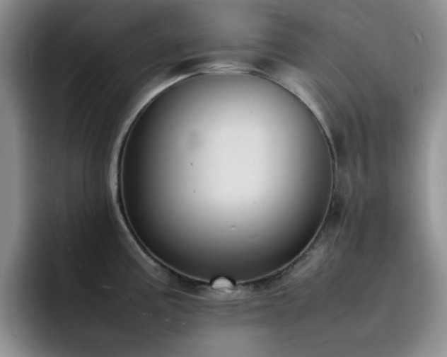 X0000092221195200709141038