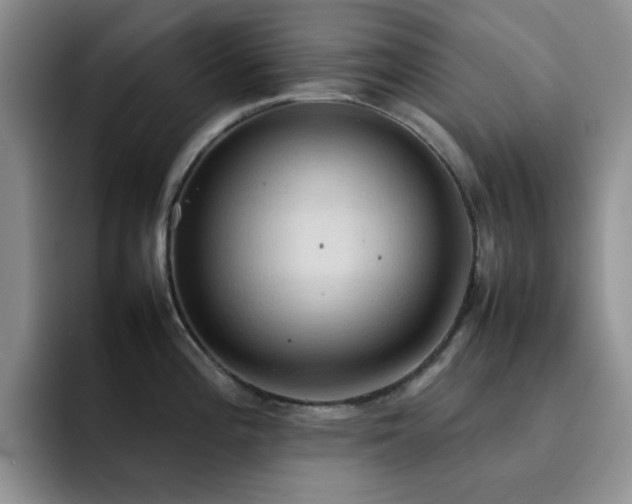 X0000092221196200709141038