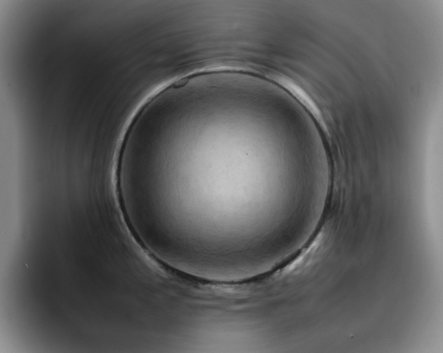 X0000092221197200709141038