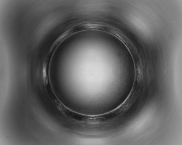 X0000092221198200709141038