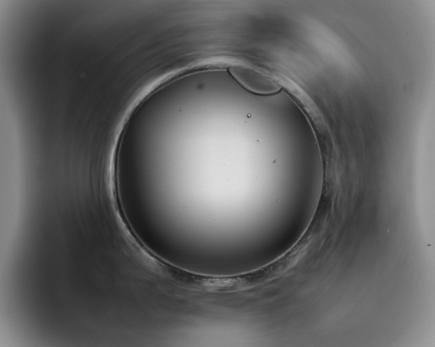X0000092221199200709141038