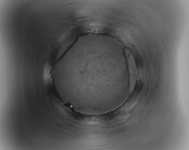 X0000092221202200709141038