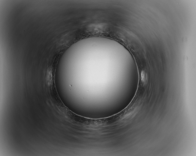 X0000092221203200709141038