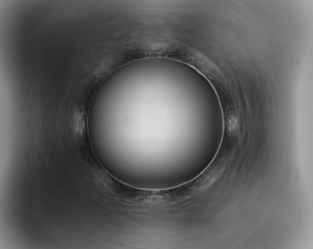 X0000092221204200709141038