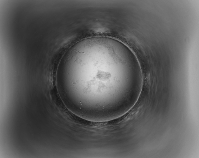 X0000092221205200709141038