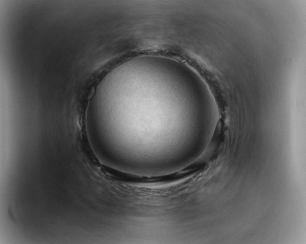 X0000092221206200709141038