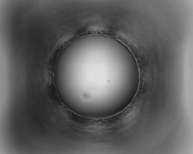 X0000092221207200709141038