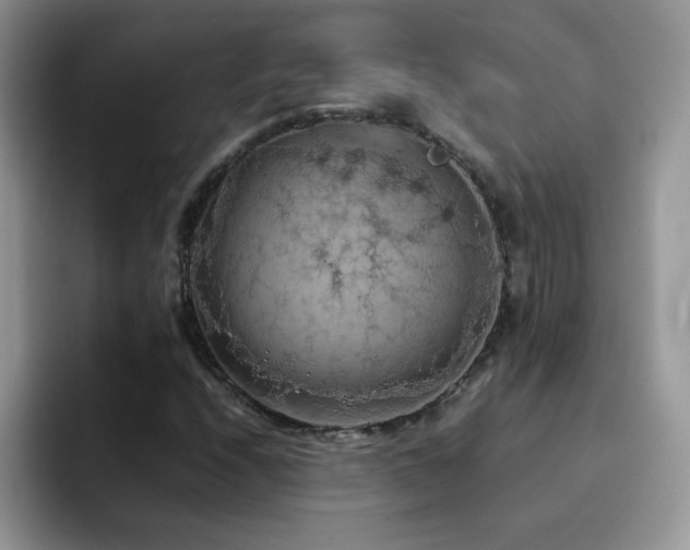 X0000092221208200709141038
